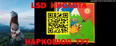 spice Кандалакша