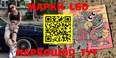 spice Кандалакша