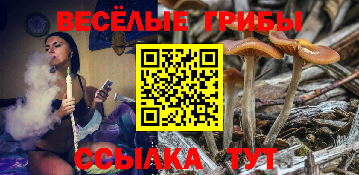 Когалым  Псилоцибиновые грибы Magic Shrooms  как найти закладки  Вход с VPN 