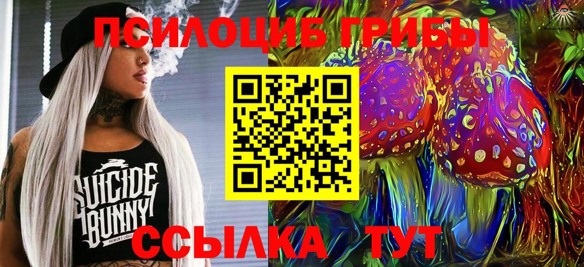 Псилоцибиновые грибы прущие грибы Когалым