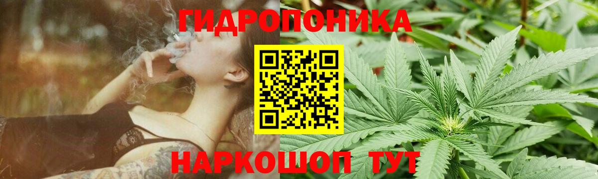 Бошки марихуана VHQ Когалым